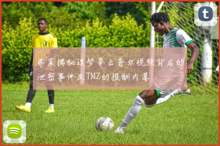 弗莱揭秘追梦拳击普尔视频背后的泄密事件及TMZ的报酬内幕