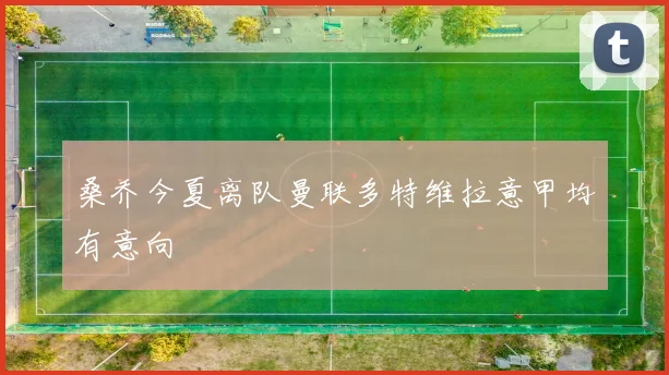 桑乔今夏离队曼联多特维拉意甲均有意向