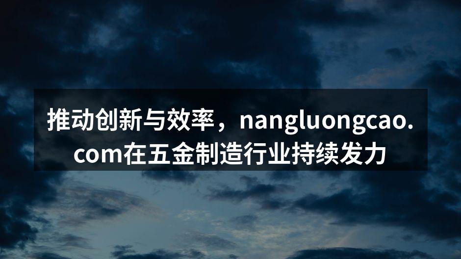 nangluongcao.com展位,吸引众多客户